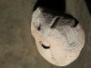 20130622_182218.jpg