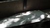 IMG_20130923_122949_436.jpg