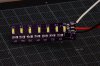 DSC_7575_redimensionner.JPG