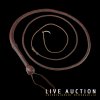 Live-Auction-2017---Featured-Items---wHIP.jpg