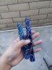 20170816_190328.jpg