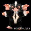 Live-Auction-2017---Featured-Items---Mohawk.jpg