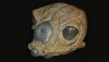 Zuckuss Original Head.jpg