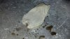 IMG_20130929_240147_280.jpg