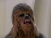 Chewbacca - 03.jpg