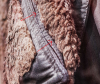 k coat.png