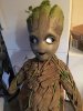 groot_almost_finished1.jpg