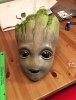 groot_head.JPG