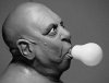 fester2.jpg fester2.jpg