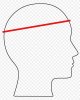 Head measuring.jpg