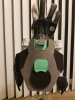 20171120_232554.jpg 20171120_232554.jpg