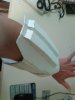 forearm 5.jpg