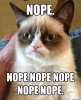 Grumpy-cat-nope.jpg