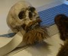 making of GK maskot1.jpg