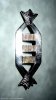 Star-Trek-II-The-Wrath-of-Khan-Captain-Rank-Insignia-1.jpg