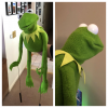 kermit.png