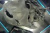 EFX Melted Vader Helmet L4  New York ComicCon 2017.jpg