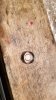 20180127_140244.jpg