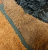 color change.jpg