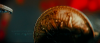 JW23.PNG