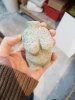 20180310_155728.jpg