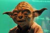 Yoda Head L 1.jpg