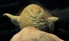 Yoda Head Rear.jpg