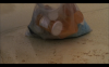 40.png