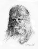 WEB_KASTEL_CHEWIE_HEAD.jpg