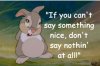 thumper-cant-say-something-nice.jpg