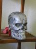 Endoskull - T2 3D - Dud Cast - 012.jpg