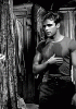 brando2.gif