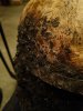 MVIMG_20180713_220531.jpg MVIMG_20180713_220531.jpg