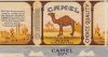 camelfront.jpg