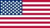 US_Flag_Apollo_11.jpg