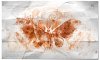 godzilla-2-mothra-bio.jpg