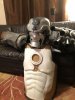 samurai war machine kabuto_do.jpg samurai war machine kabuto_do.jpg
