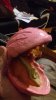 20180804_015946.jpg