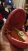 20180804_015950.jpg