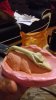 20180804_015858.jpg