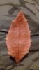 20180804_015543.jpg