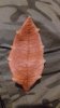 20180804_015548.jpg
