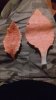 20180804_015558.jpg