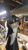 20181031_151609.jpg
