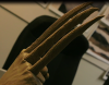 bone claw.png