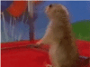 tumblr_lkn6yspqU91qir7tyo1_250.gif