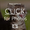 ImageUploadedByTapatalk1458693986.744567_zps4vrdy69g.jpg