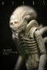 ALIEN157_zps59f09a19.jpg