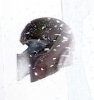helmet2.jpg