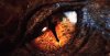 smaug-eye-feature.jpg